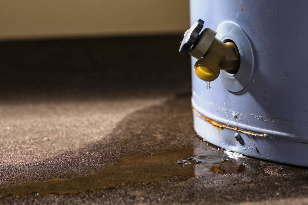 Best Carpet water damage restoration  in Waynesville, NC