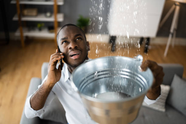  Waynesville, NC Water damage restoration Pros
