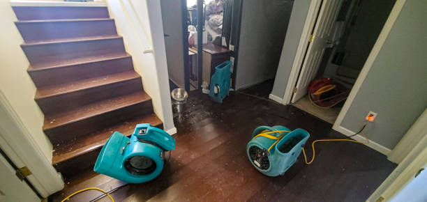 Water damage restoration experts in Waynesville, NC