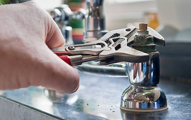 Best Professional water damage repair  in Waynesville, NC