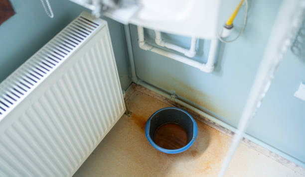 Best Fire Damage Restoration  in Waynesville, NC