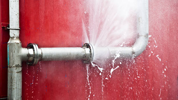 Best Local water damage restoration  in Waynesville, NC