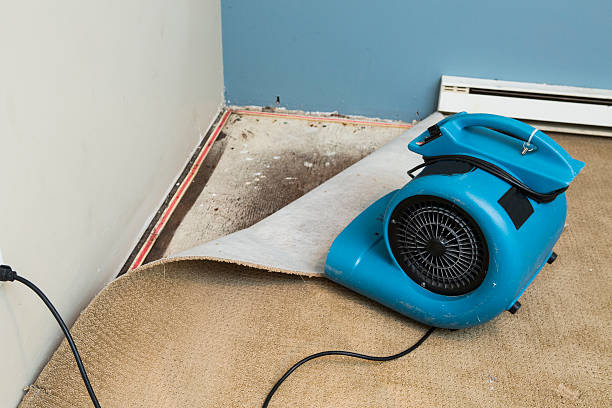 Best Water damage restoration experts  in Waynesville, NC